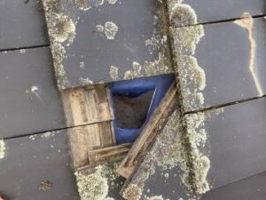 Melbourne Roof Repairs: Roof Restoration & Replacement
